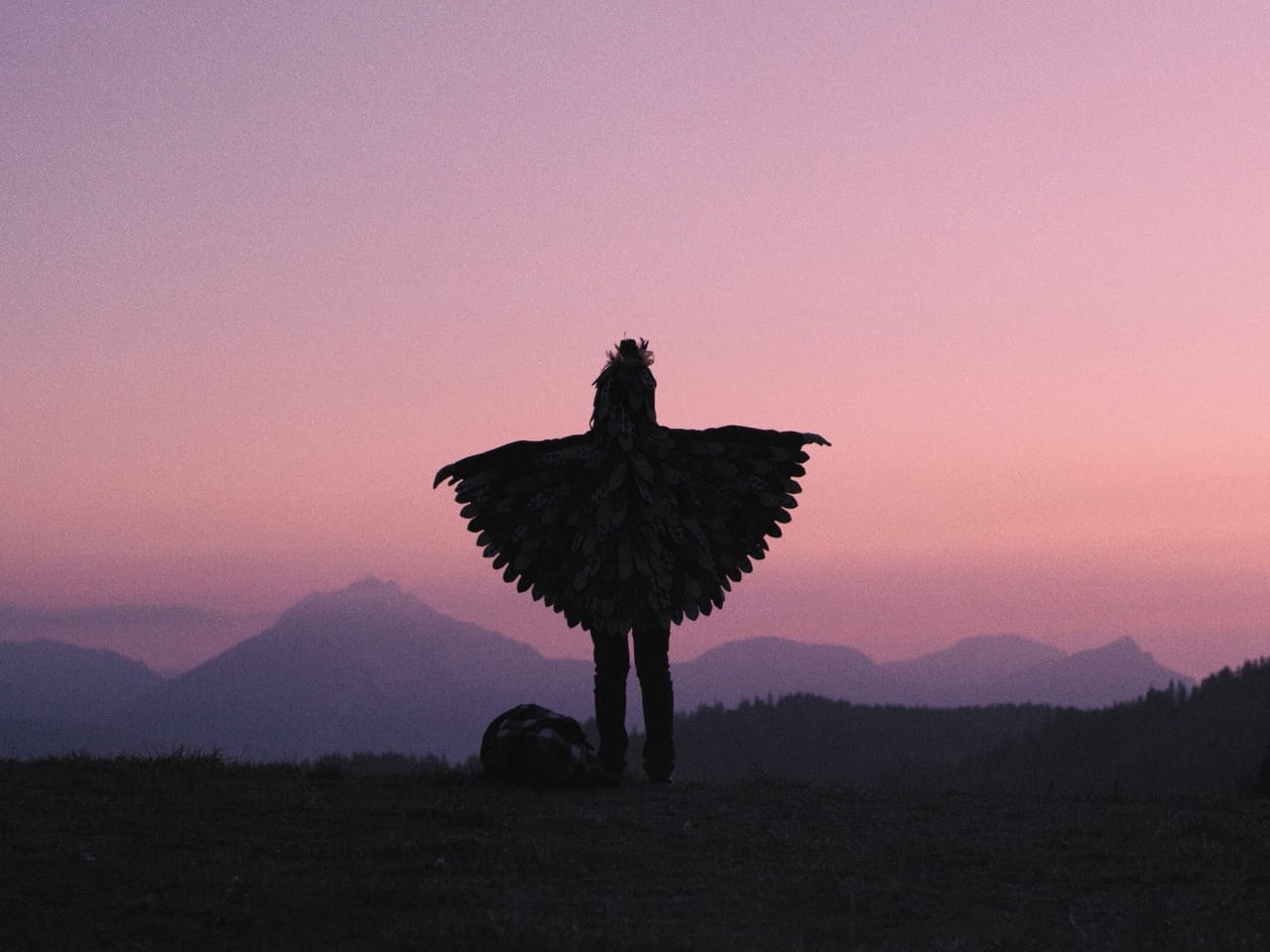 Bears Towers - Silent Birds